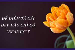 Từ vựng chuyên đề BEAUTY